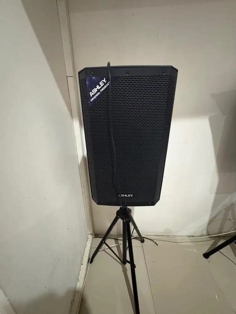 Speaker Ashley 15inch Sepasang