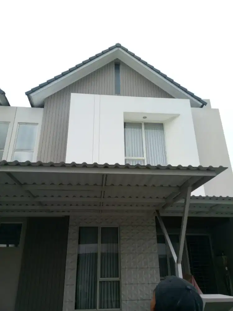 Tukang cat profesional