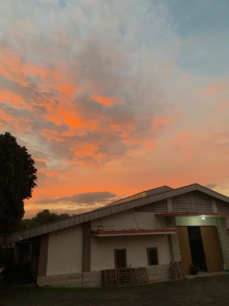 Admin olshop, live, packing