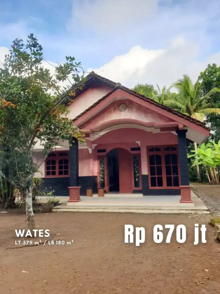 Dijual Rumah Asri Halaman Luas di Wates