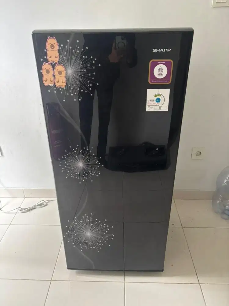 Kulkas Sharp 1 pintu double freezer Like NEW