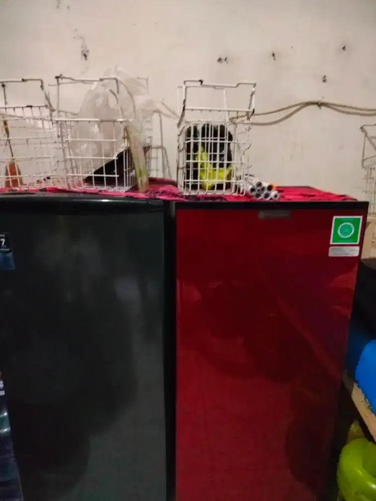 KULKAS PEMBEKU ( BISA BUAT ES BATU, DAN MINUMAN DINGIN BEKU) FREEZER