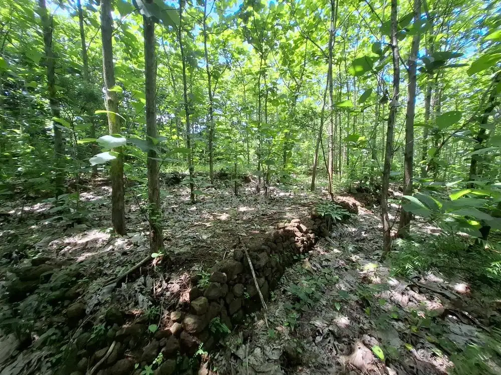 Tanah SHM 1,7 Ha Pacung Tejakula – 5 Menit ke Pantai - North Bali