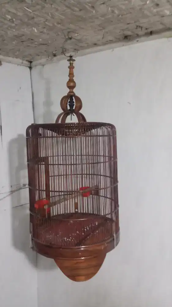 Sangkar masih bagus