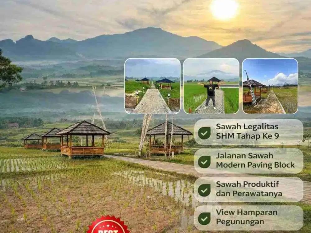 di Jual Kavling Sawah SHM di pinggir jalan