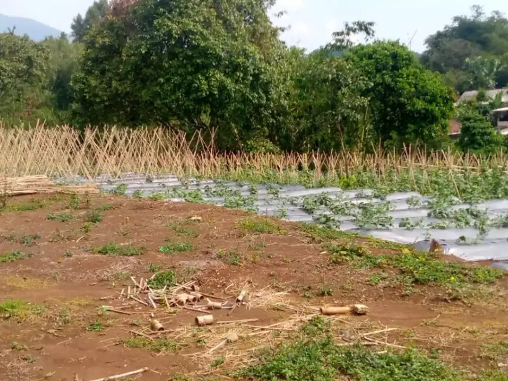 Kavling Investasi Di Tamansari Bogor, Pas Bangun Villa FREE SHM