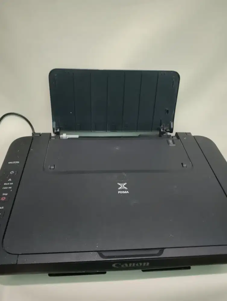 Printer canon  mg2570