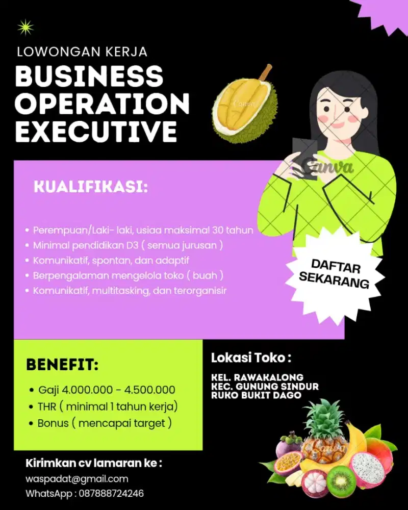 Lowongan Kerja Business Operation Executive dan Host Live Streaming