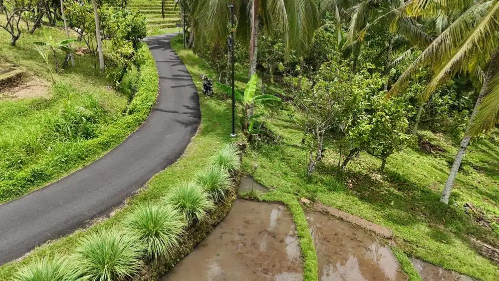 Jual tanah sawah istimewa luas kecil di tabanan bali.