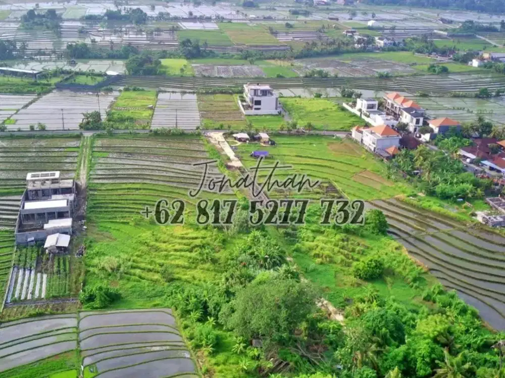 Dijual Tanah View Sawah Zona Wisata di Pantai Nyanyi Tabanan Bali - LSADT