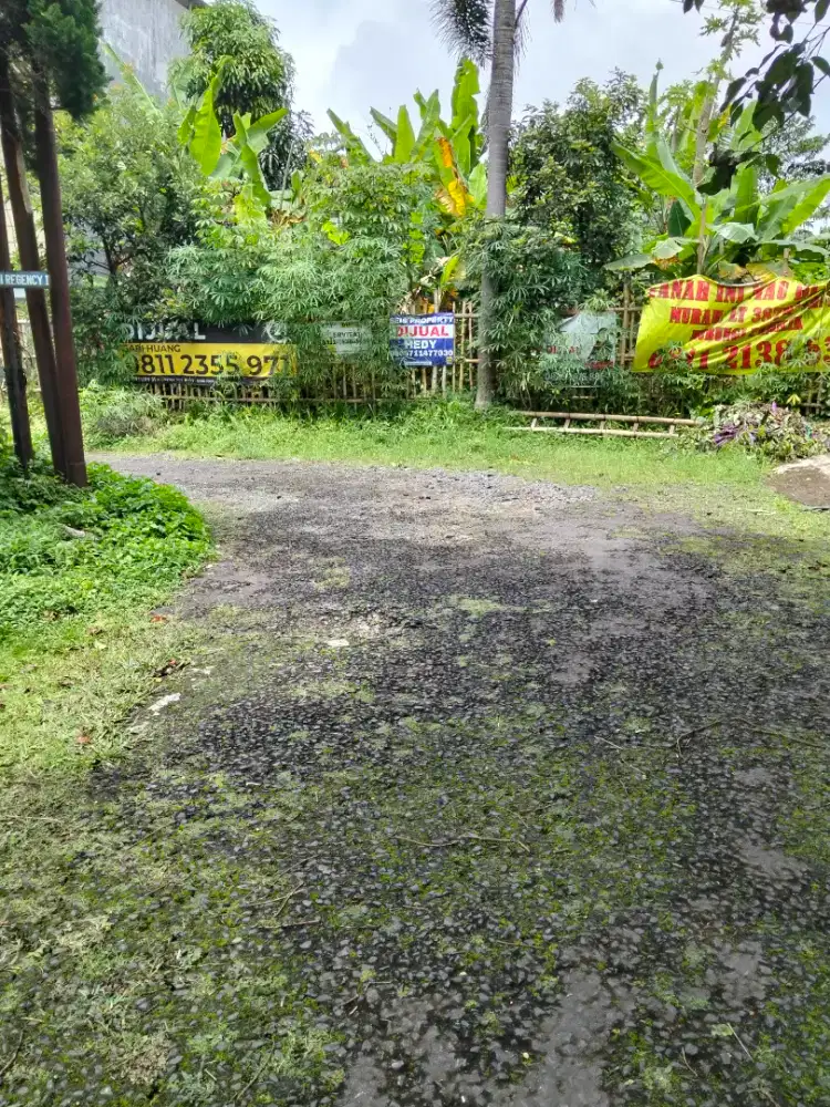 TANH KAVLING GEGER KALONG