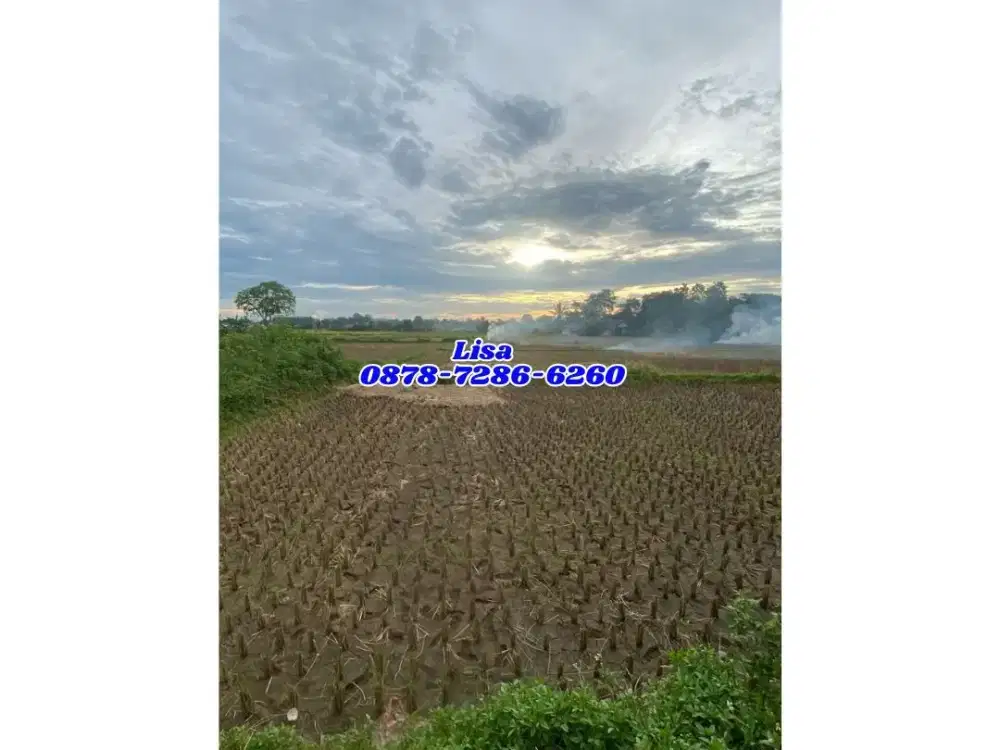 TANAH PADAT SAWAH LEGOK 935m JUAL MURAH 2 MAN NEGO