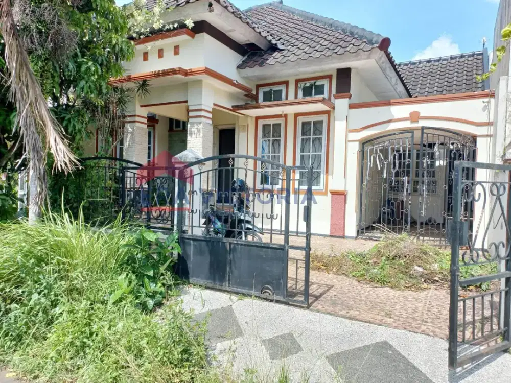 Rumah Elite di Puncak Dieng Malang Lokasi Strategis Siap Huni