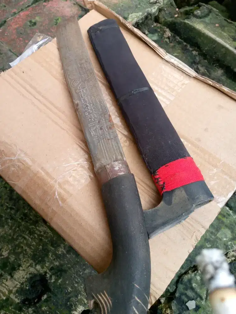 Jual aja golok rajah