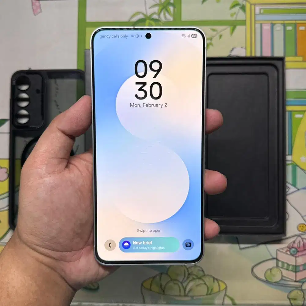 Samsung s25fe 256gb sein