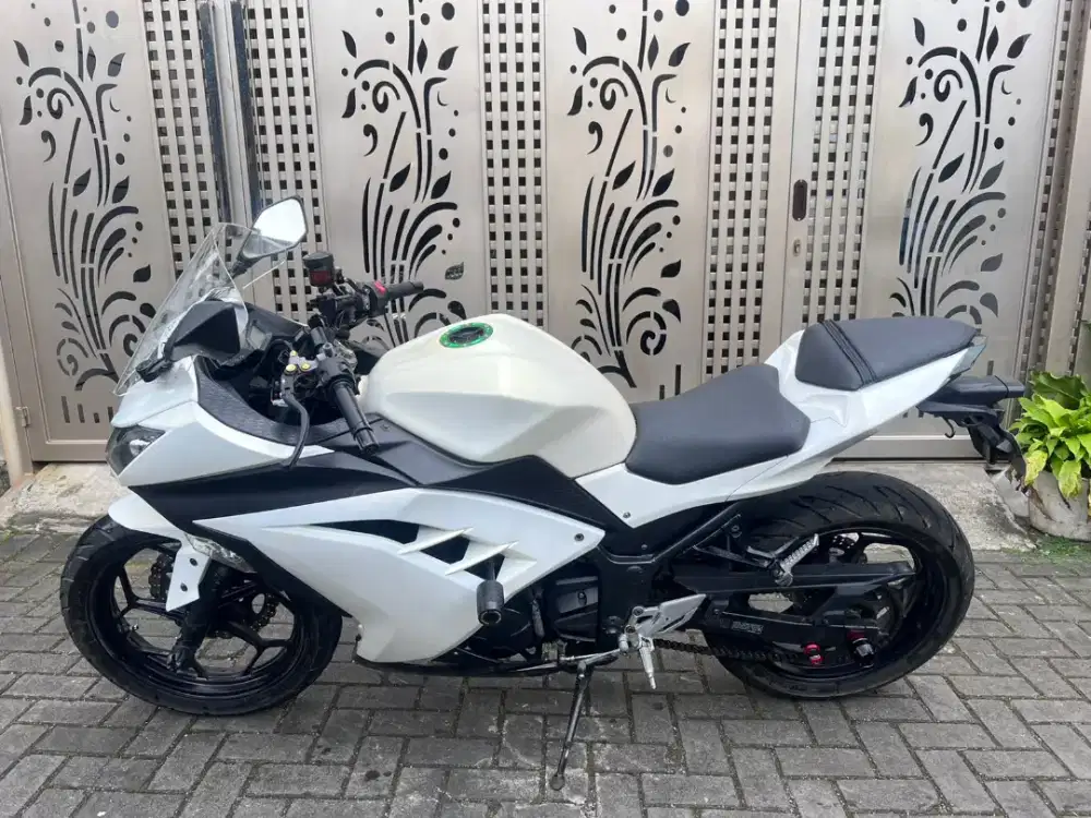 Kawasaki ninja fi 250 plat d