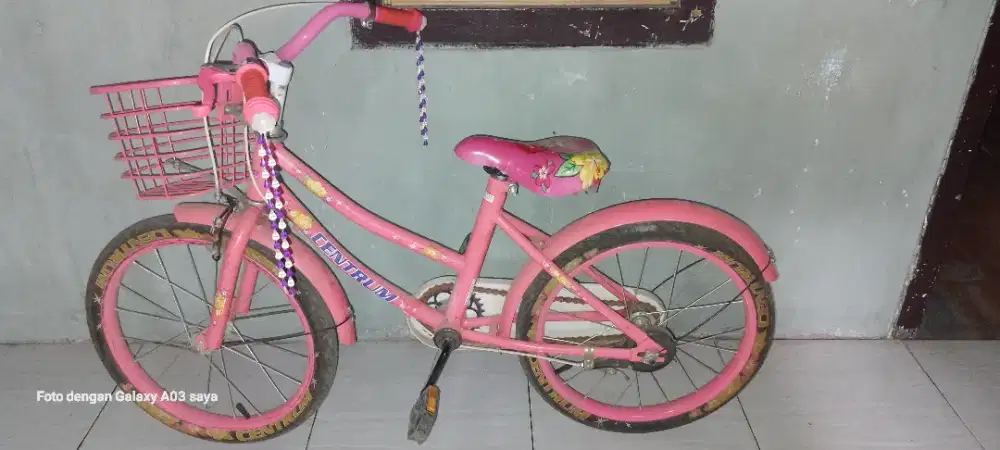 DIJUAL SEPEDA ANAK PEREMPUAN USIA 6-10TH