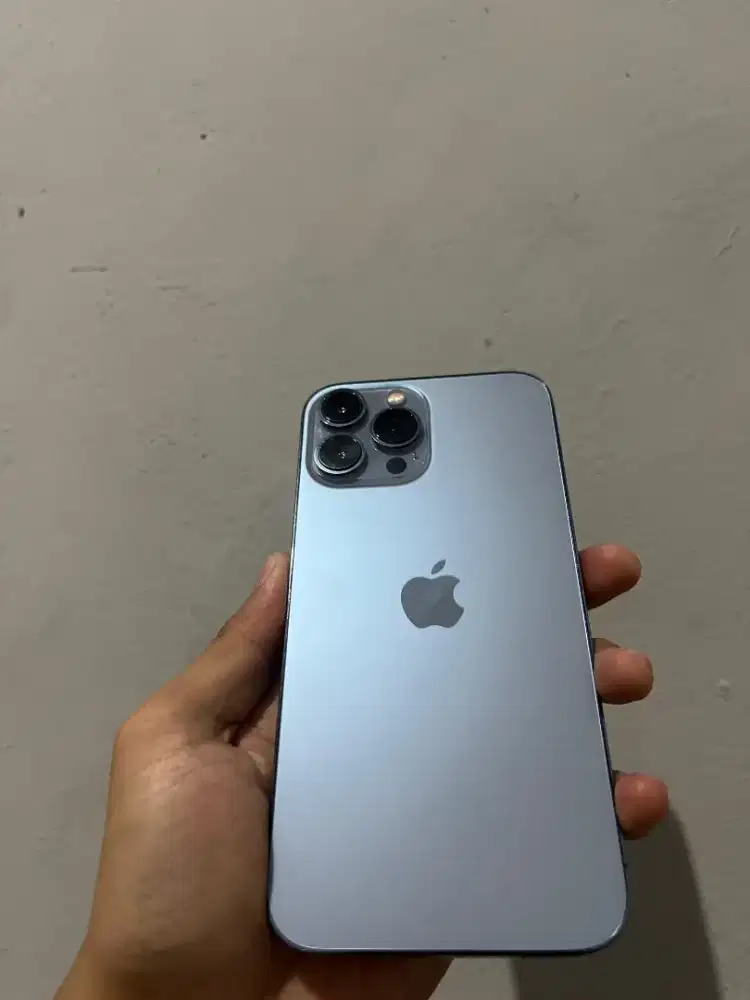 Iphone 13 pro max 128 gb inter fullset ex pstore