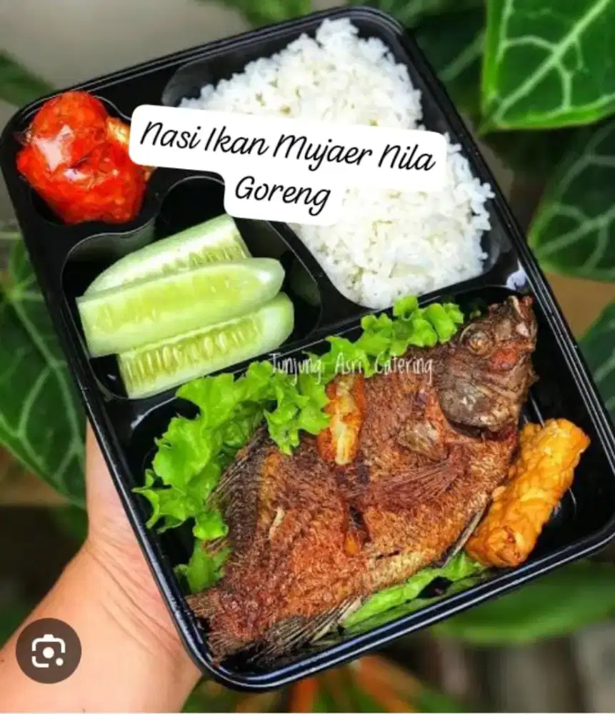 Nasi Ikan Mujaer Nila Goreng
