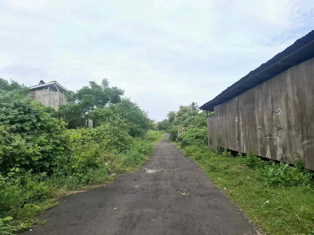 Tanah Strategis Di Jimbaran Taman Griya Dkt Unggasan Benoa Nusa Dua Pecatu Bandara Kedonganan Goa Gong