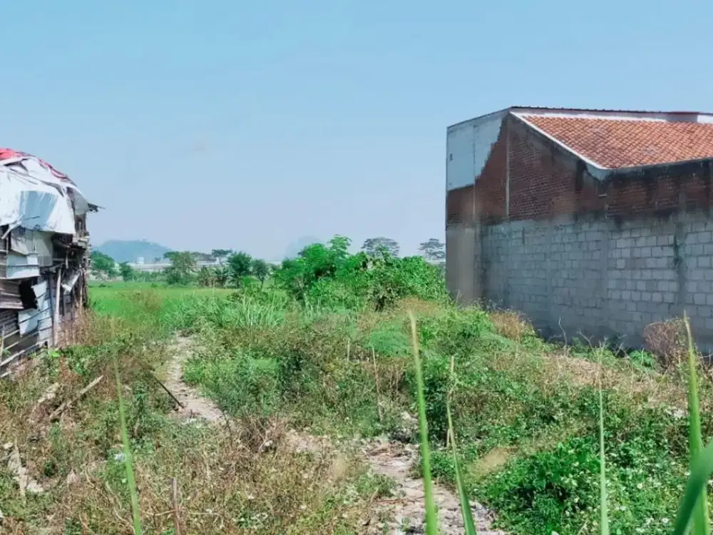 Tanah Padat Jl. Peuris Margaasih Cocok untuk Gudang