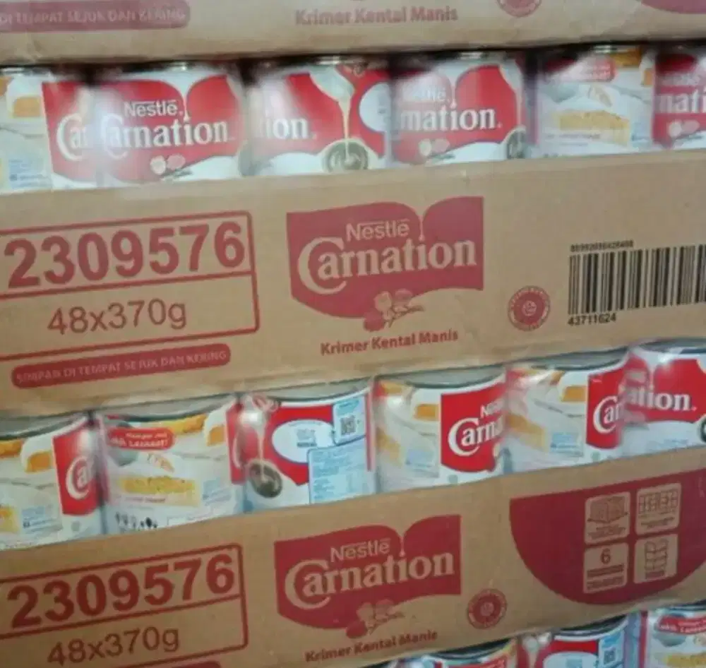 jual santai 5 karton susu carnation