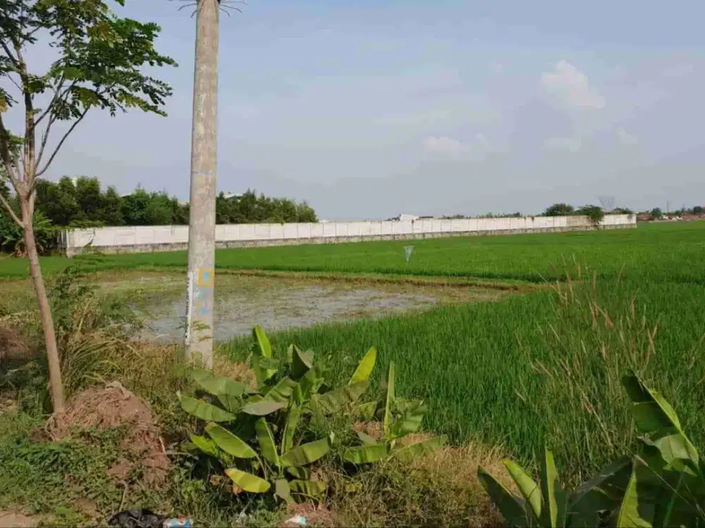 Dijual Murah Tanah Komersil di Karawang Barat