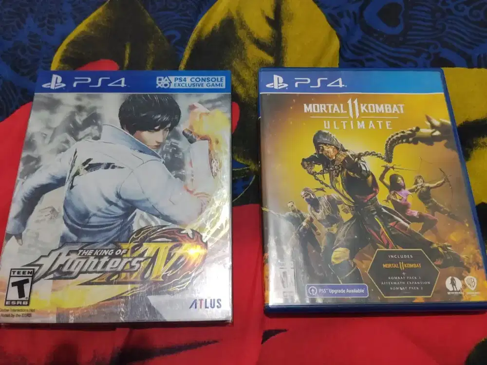 BD PS4 Game Fighting