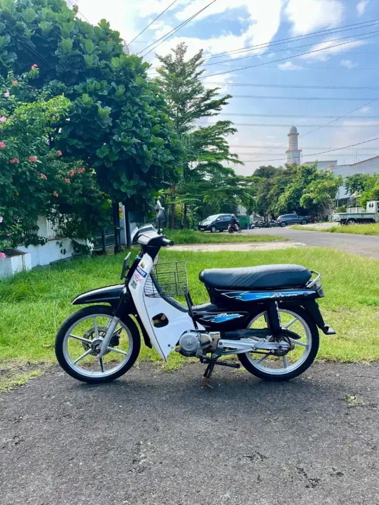 Astrea grand bulus 1995