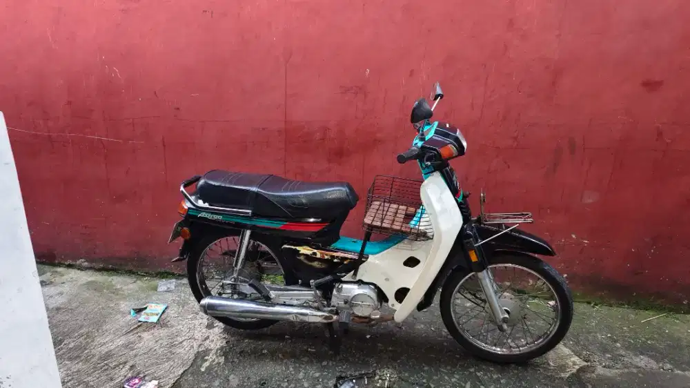 Astrea bulus ori tahun 93