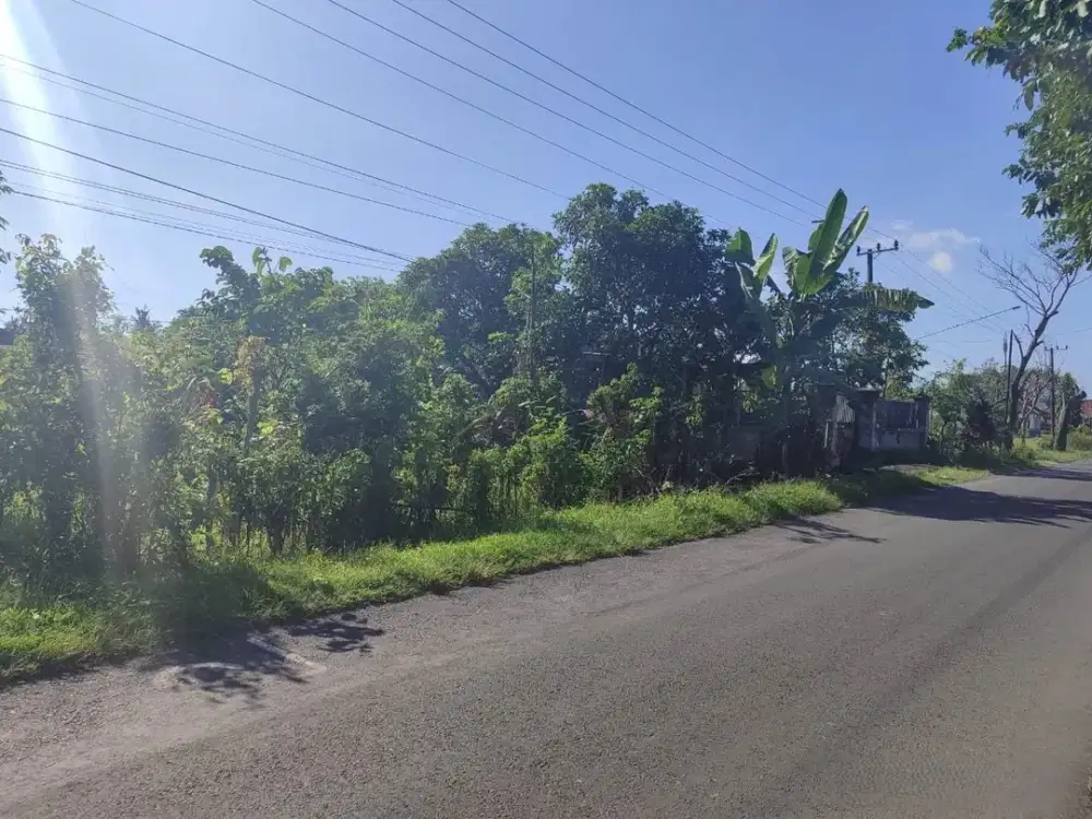 Dijual Lelang Tanah Raya Wringinpitu Tegaldlimo Banyuwangi