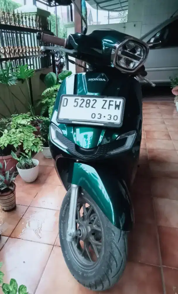 Honda Stylo Royal Green 2025
