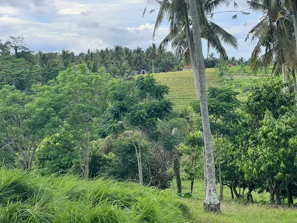 Jual tanah dekat pantai harga murah di tabanan bali