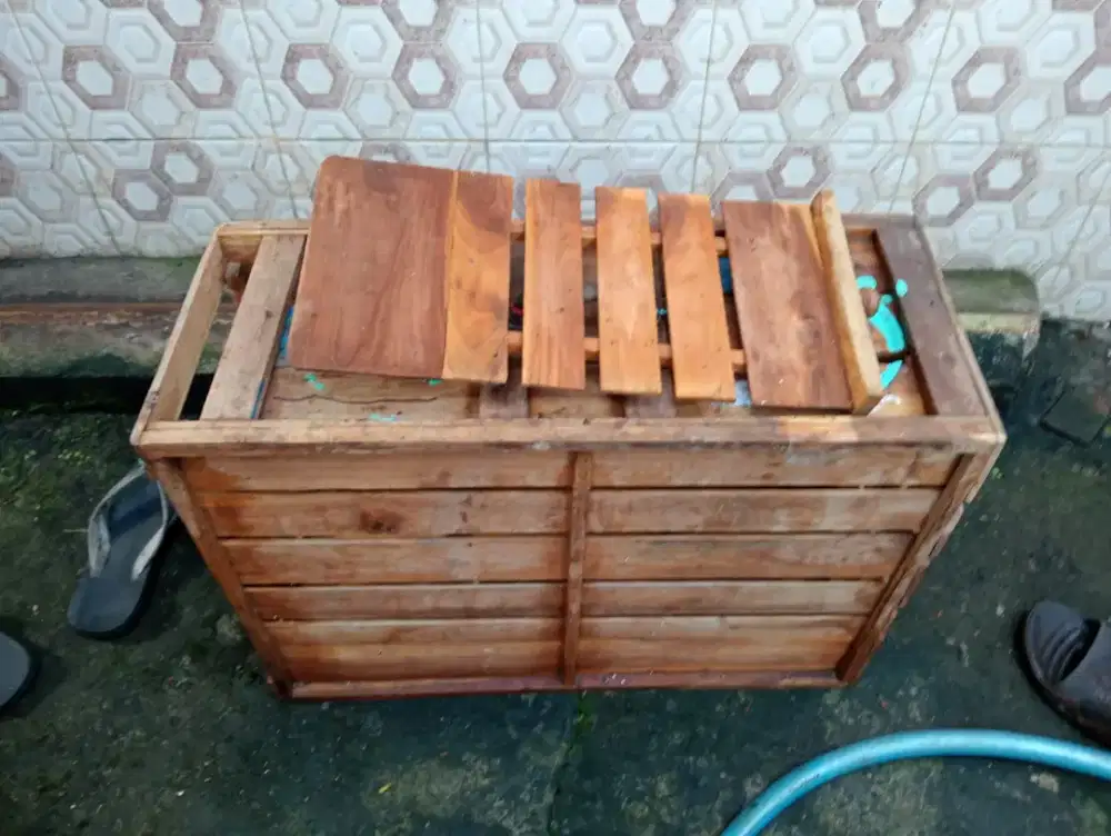 Box untuk pengiriman ayam kokoh