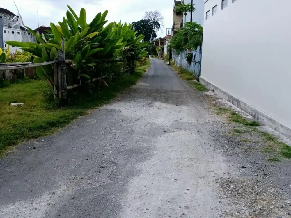 Tanah Pura Demak Denpasar Barat Bali