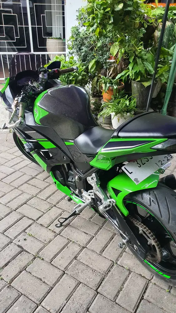 Kawasaki Ninja FI 250 ABS SE 2013 FULL MODIF