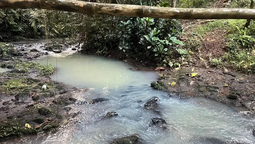 Jual tanah kebun view sawah los sungai di tabanan bali.