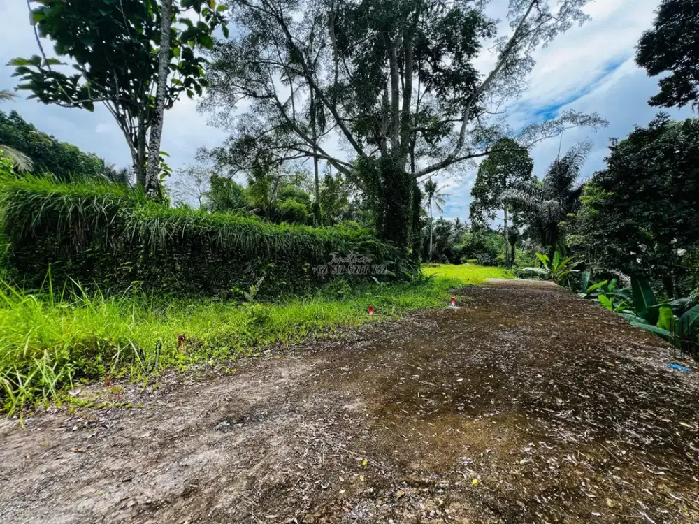Dijual Tanah View Jungle dan Sungai Payangan Ubud SHM - LSADT