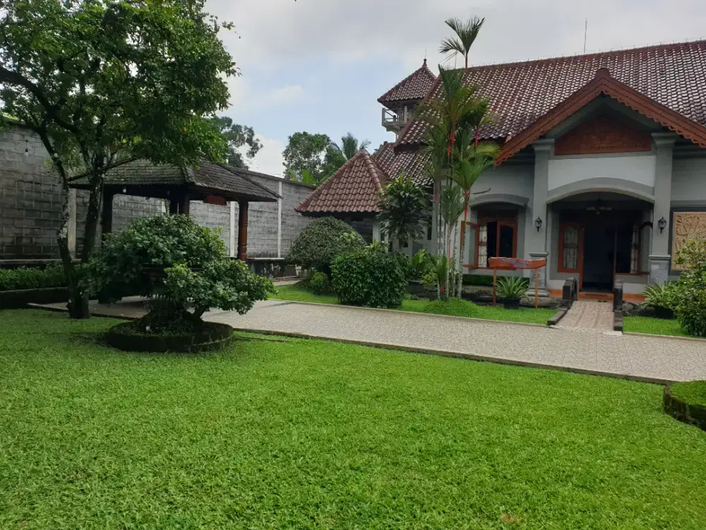 DISEWAKAN RUMAH 2000 M TANAH LUAS