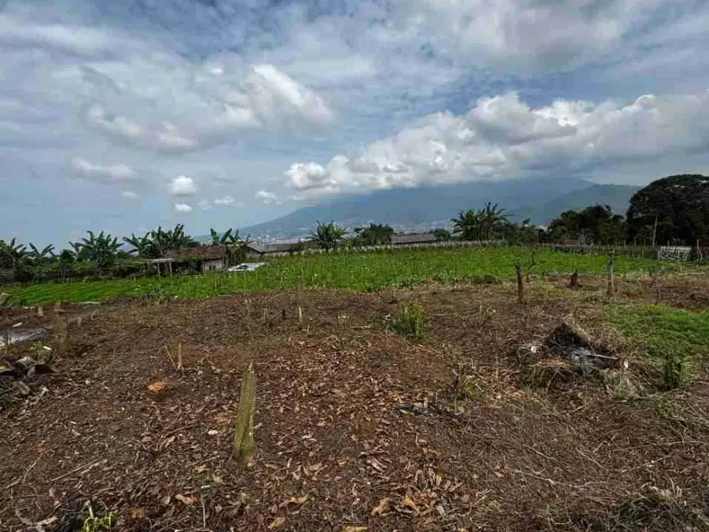 LAHAN PERTANIAN MURAH 400 RIBU / METER KOTA BATU
