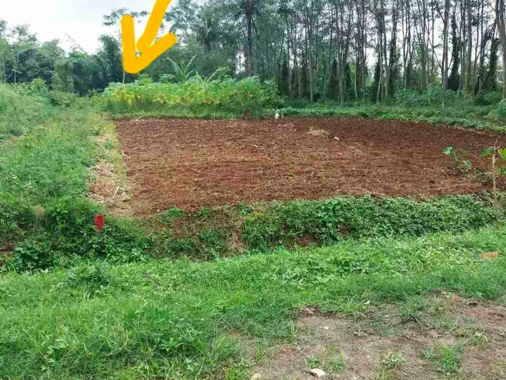 TANAH KARANGPLOSO UNTUK TOKO DAN USAHA