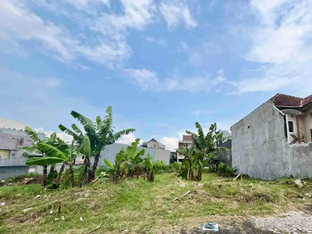 Tanah Depan Gerbang Kampus UB Bunga Andong