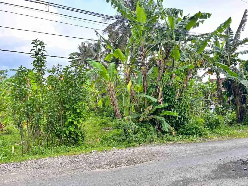 Tanah kosong Toyareja dekat pabrik Victoria Purbalingga