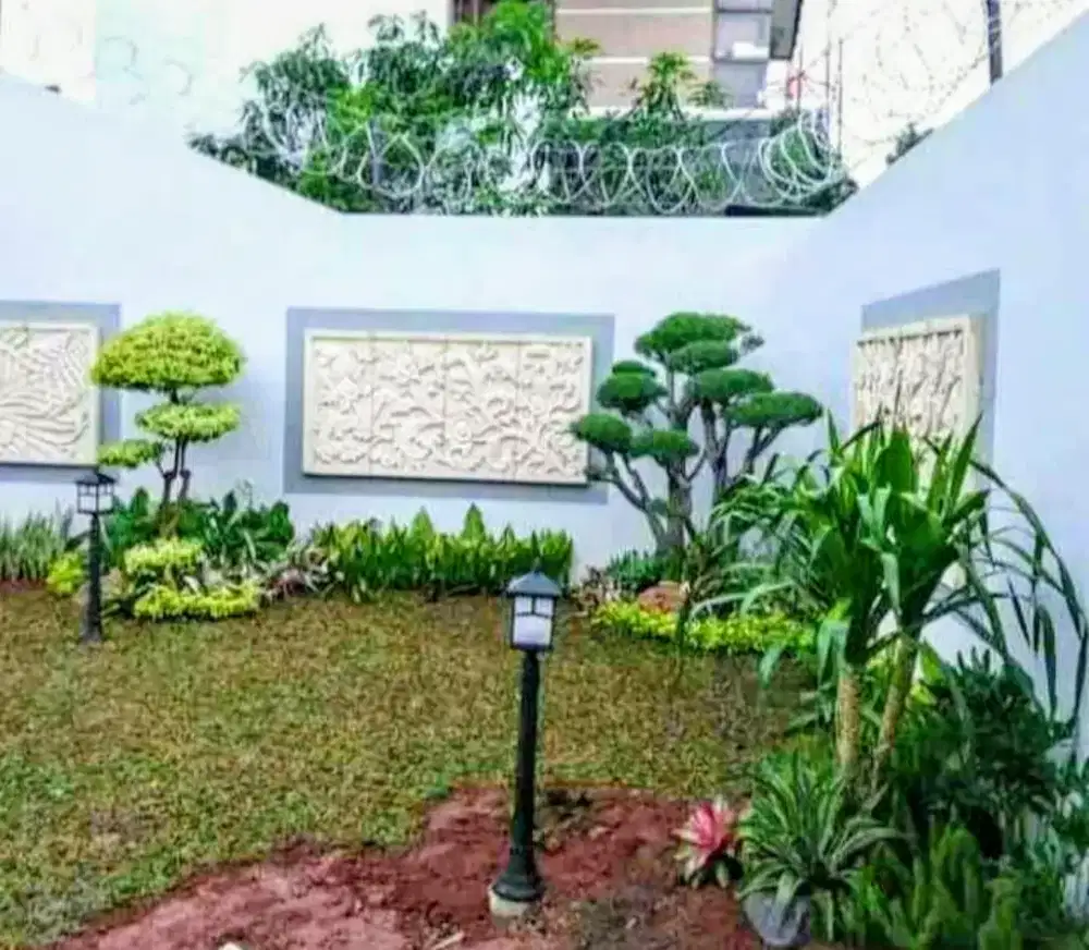 Jual rumput jepang dan gajah mini