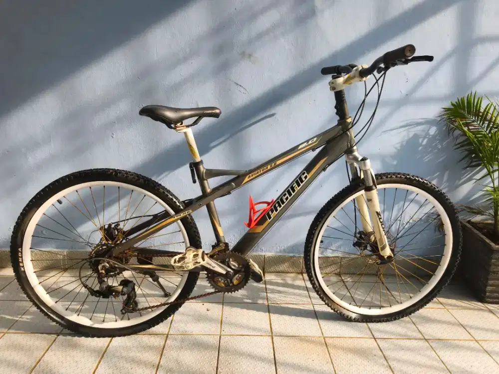 Sepeda Gunung Pacific Aviator 2.0
