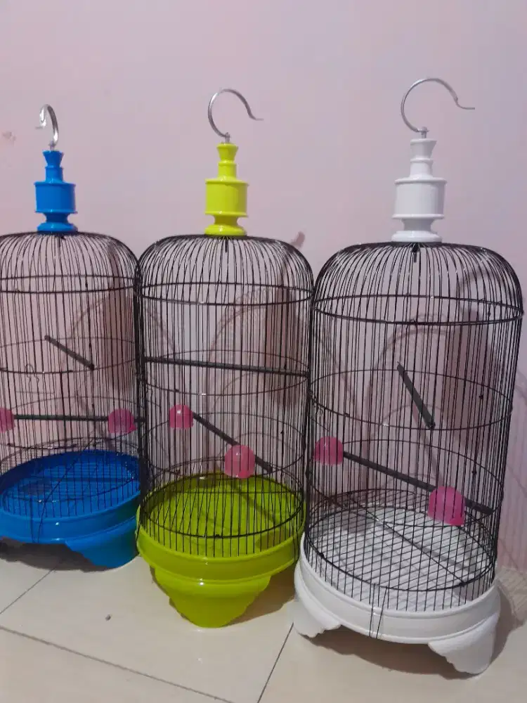 Sangkar LB PVC dan Standar