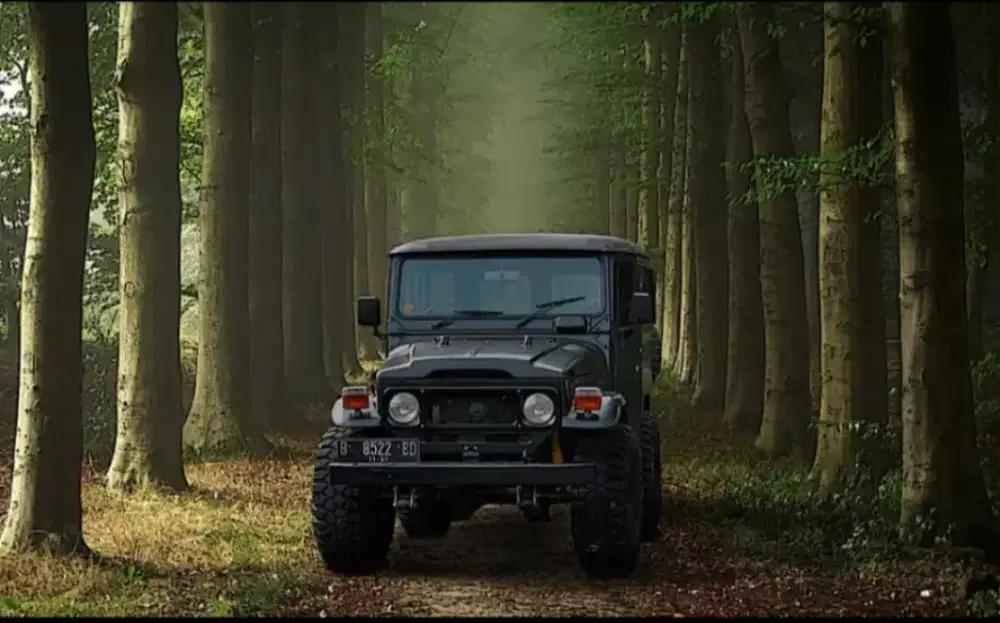 Jual cepat Hardtop FJ40 THN 1981 ( modif)