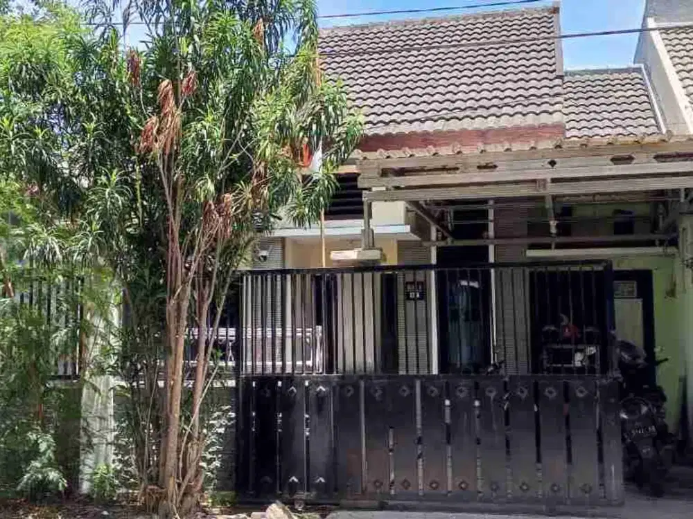 Rumah dekat Wiguna central park cocok untuk usaha atau kost2an