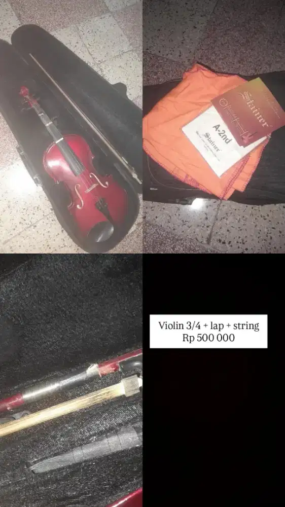Violin 3/4 + string + lap