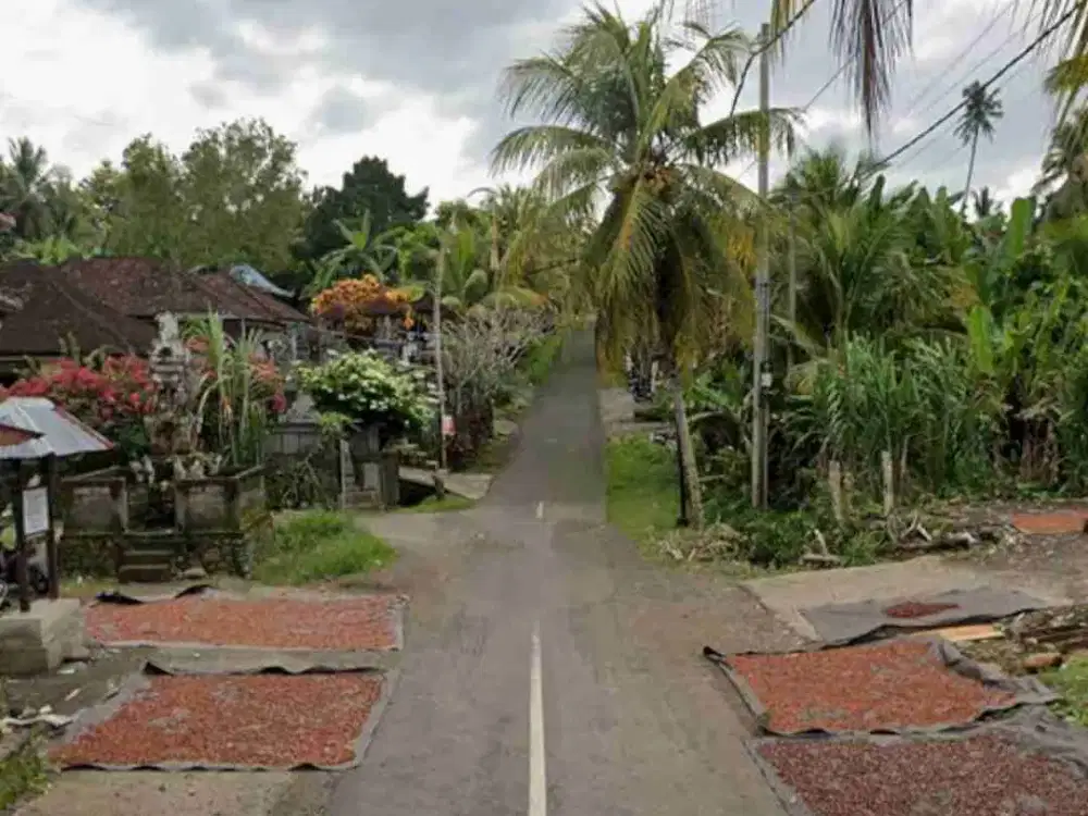 Tanah Kebun View Laut 10 menit ke Pantai Medewi Pekutatan Bali